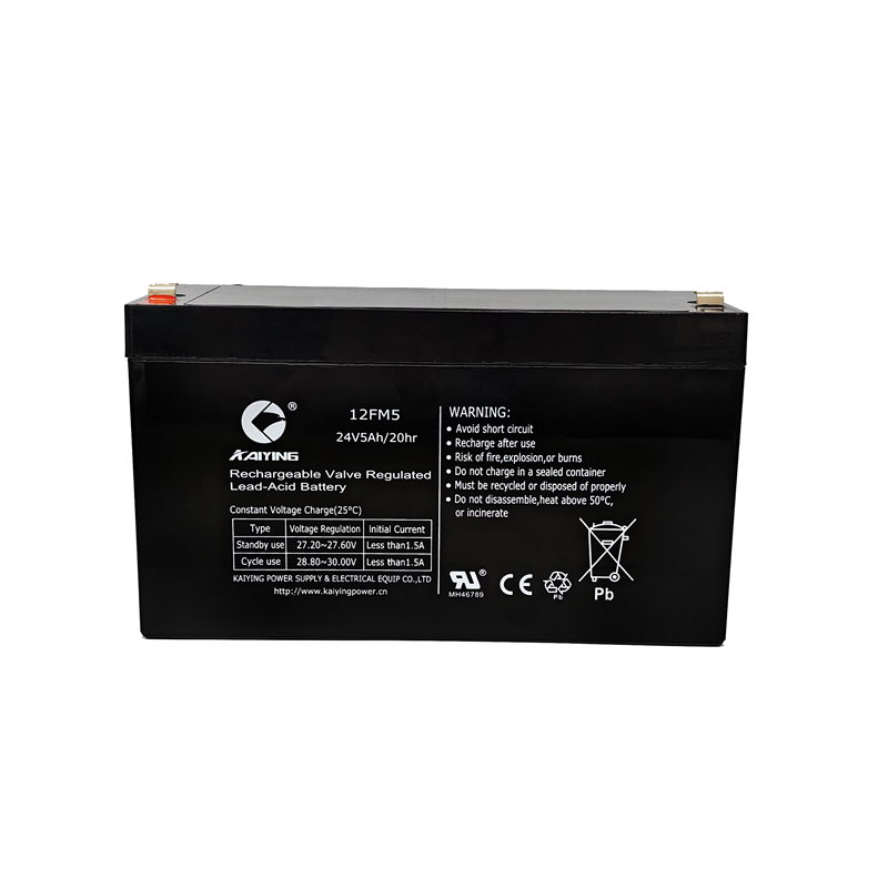 24V5Ah Roller Sutter Door Battery