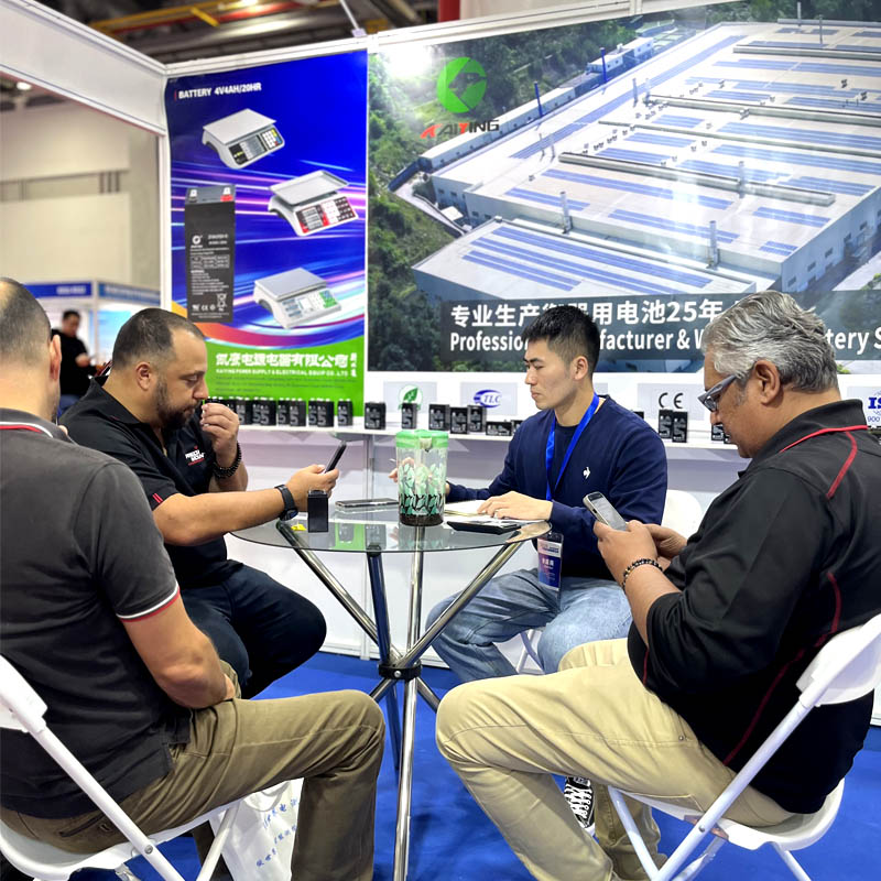 Kaiying Weighing Scale Battery